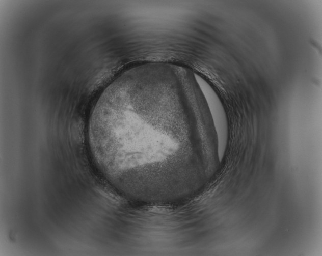 X0000091450303200709131720