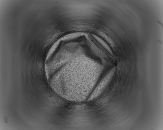 X0000091450306200709131720