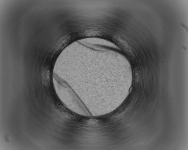 X0000091450308200709131720