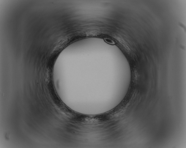 X0000091450311200709131720