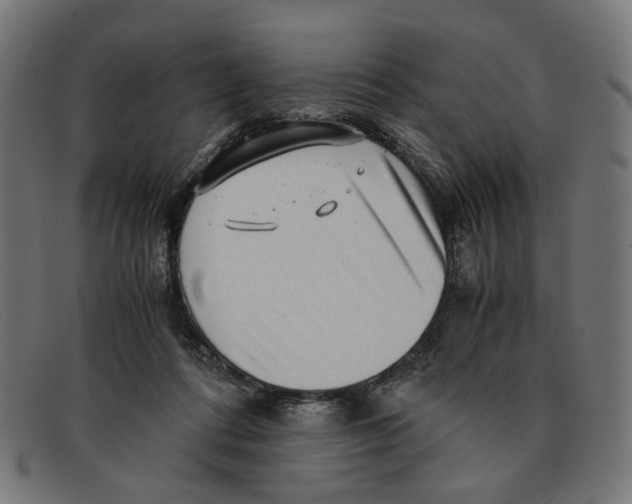X0000091450312200709131720