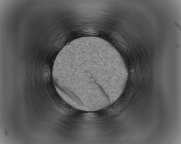 X0000091450320200709131720