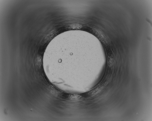 X0000091450321200709131720