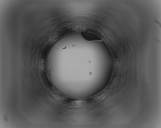 X0000091450323200709131720