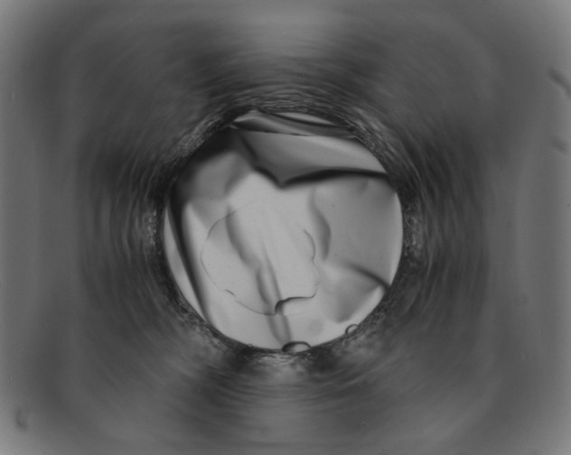 X0000091450326200709131720