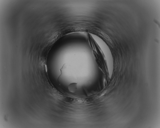 X0000091450329200709131720