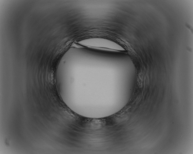 X0000091450330200709131720