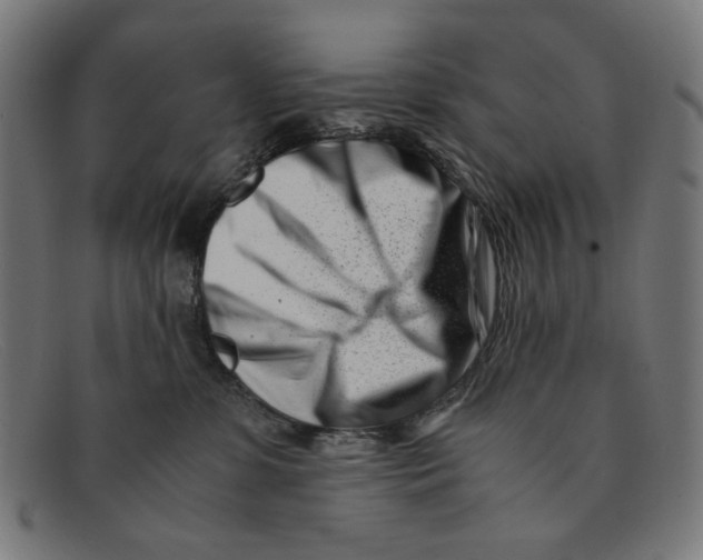 X0000091450331200709131720