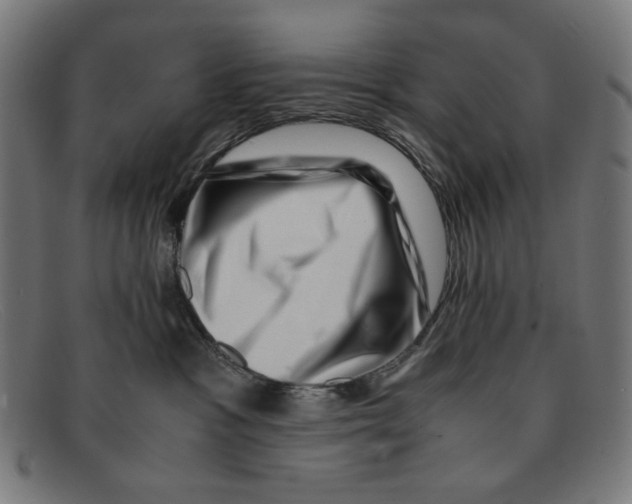 X0000091450333200709131720