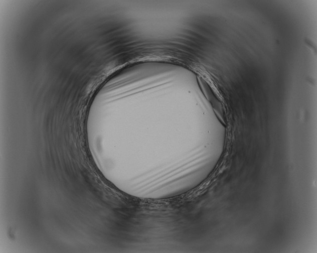 X0000091450337200709131719