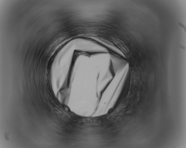 X0000091450338200709131719