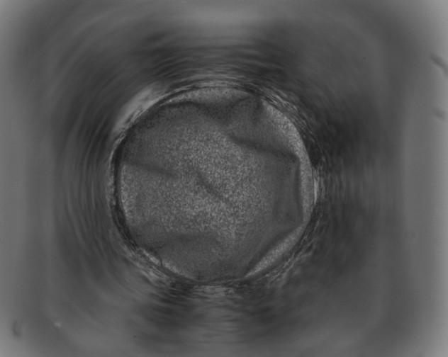 X0000091450339200709131719