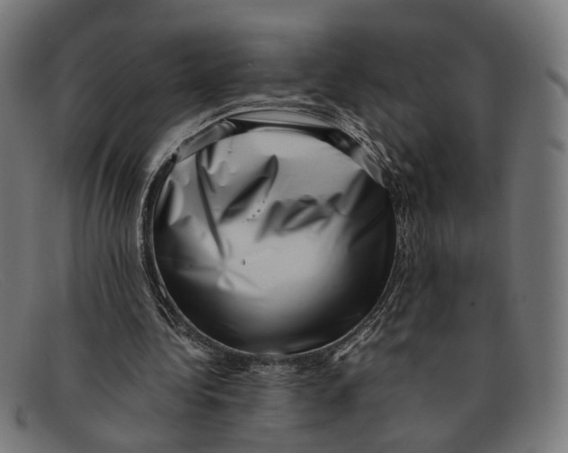 X0000091450340200709131719