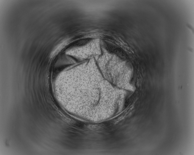 X0000091450341200709131719