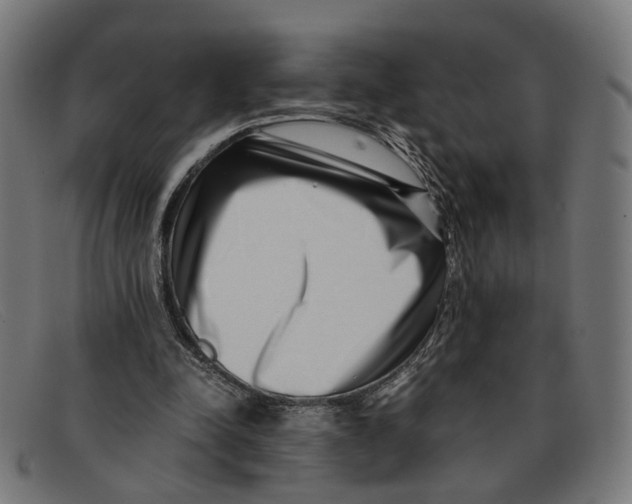 X0000091450342200709131719