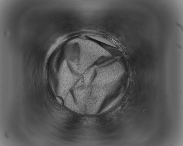 X0000091450343200709131719