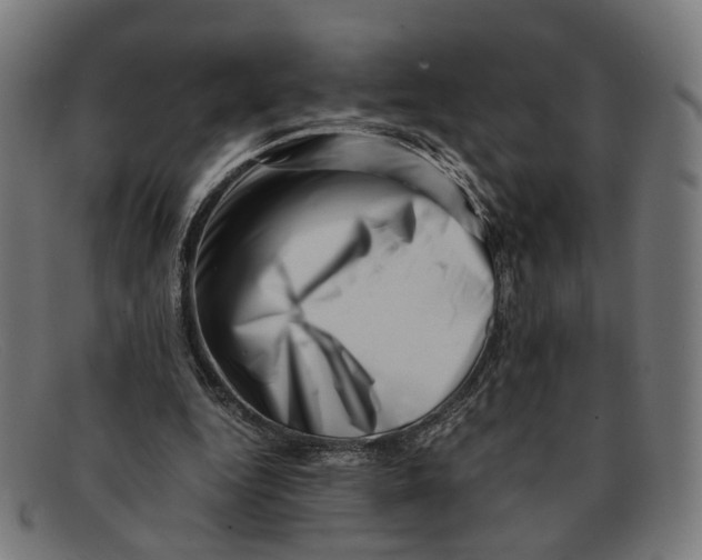 X0000091450344200709131719