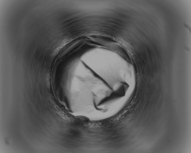 X0000091450345200709131719