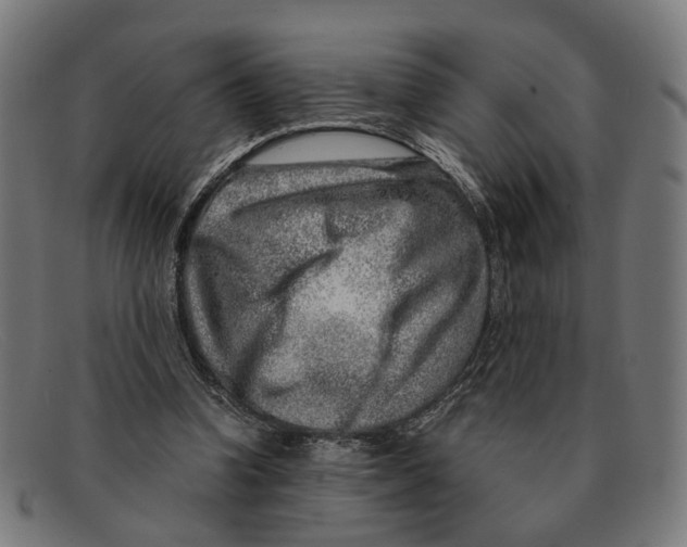 X0000091450346200709131719