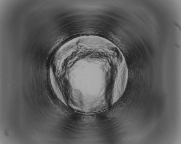 X0000091450347200709131719