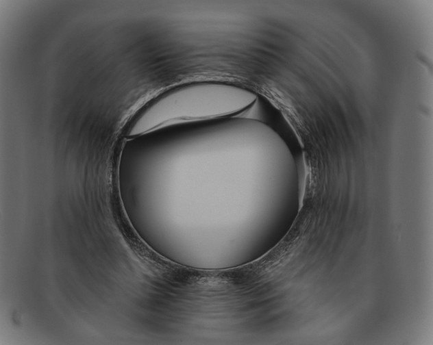 X0000091450348200709131719