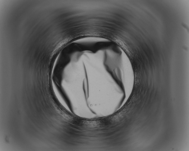 X0000091450349200709131719
