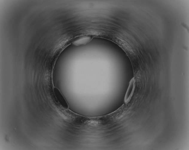 X0000091450352200709131719