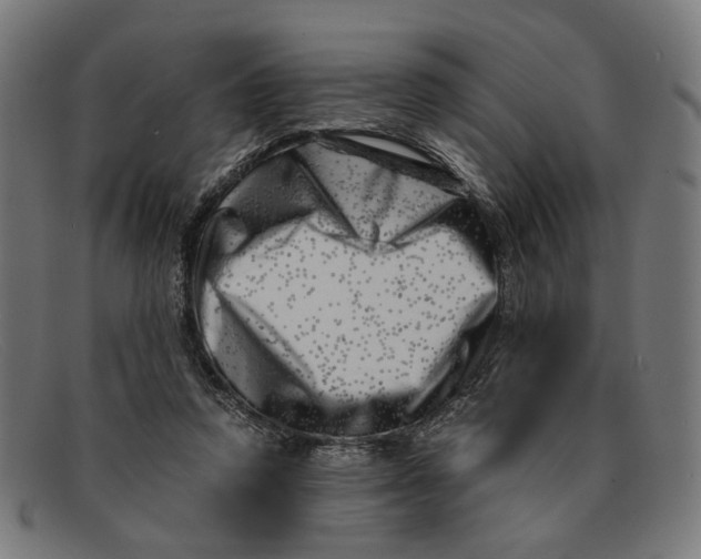 X0000091450354200709131719