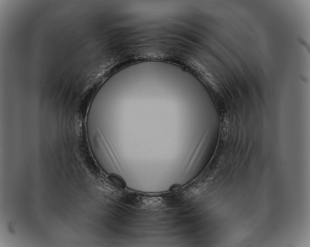 X0000091450355200709131719