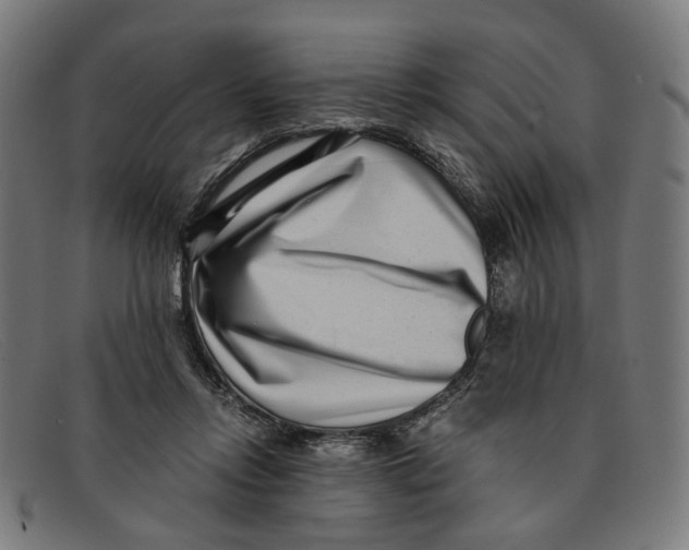 X0000091450358200709131719