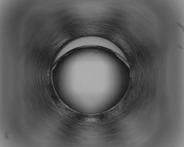 X0000091450360200709131719