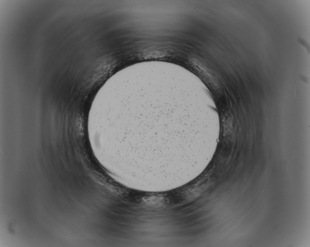 X0000091450362200709131719