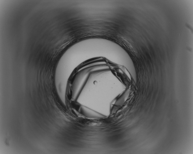 X0000091450364200709131719