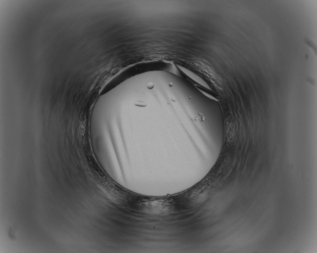 X0000091450365200709131719