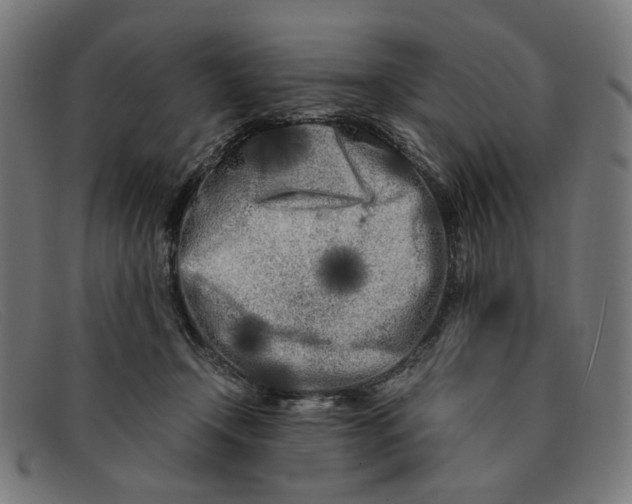 X0000091450366200709131719