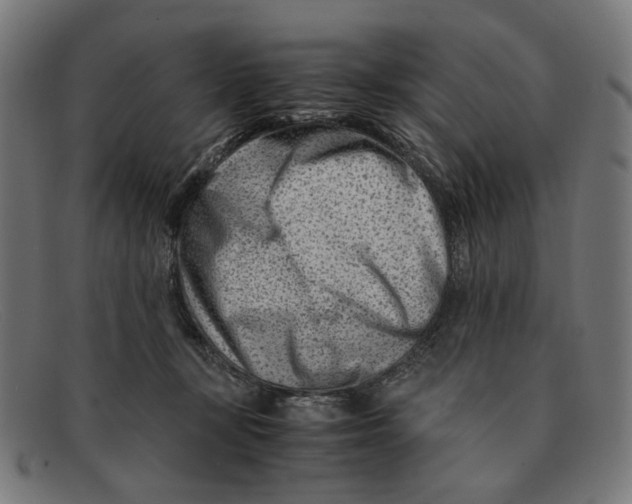 X0000091450367200709131719