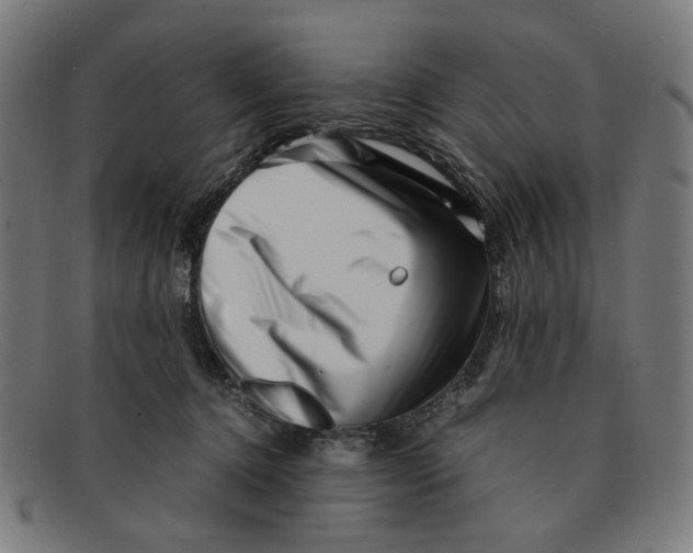 X0000091450368200709131719