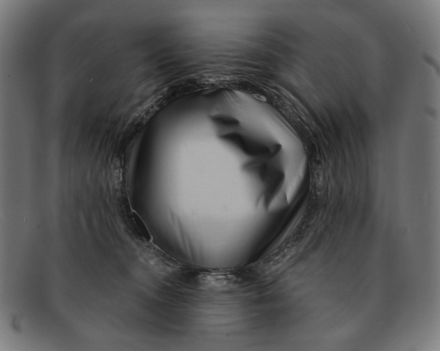 X0000091450372200709131719