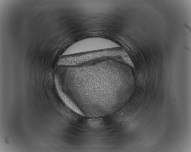 X0000091450373200709131719