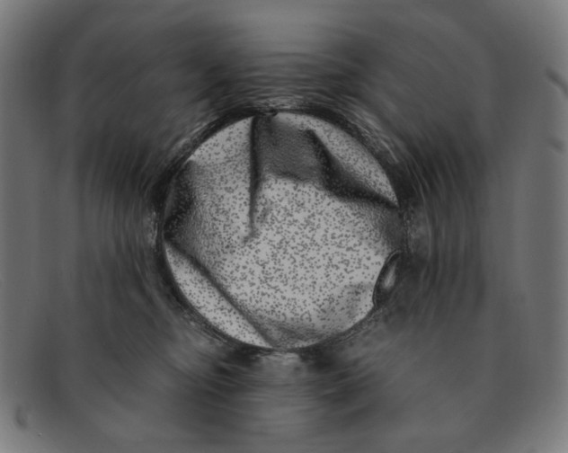 X0000091450374200709131719