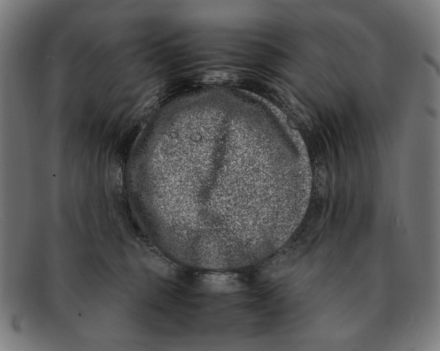 X0000091450375200709131719