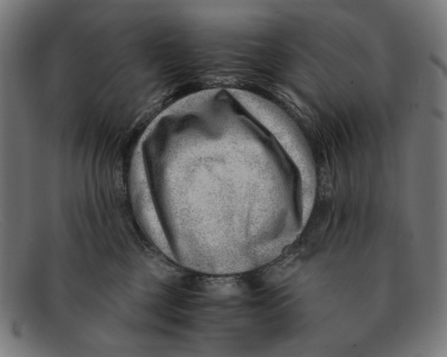 X0000091450377200709131719