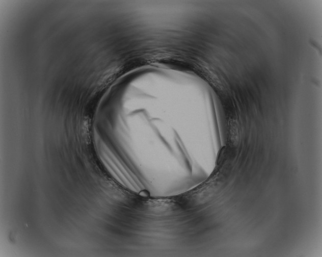 X0000091450378200709131720