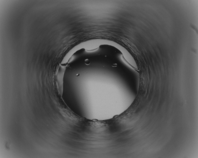 X0000091450380200709131720