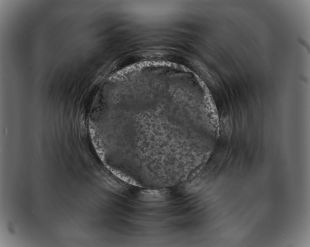 X0000091450381200709131720