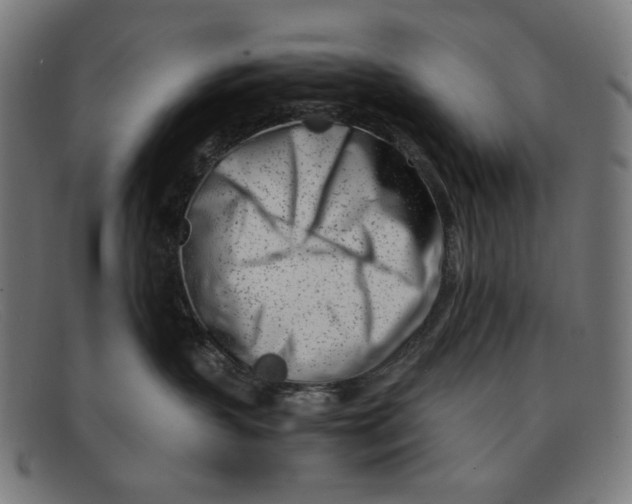 X0000091450383200709131720