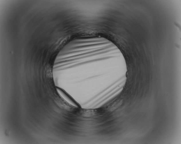 X0000091450384200709131720