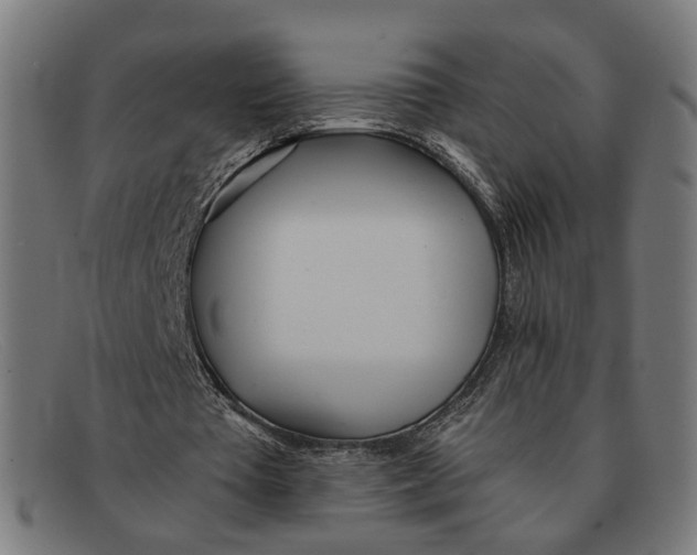 X0000091450385200709131719