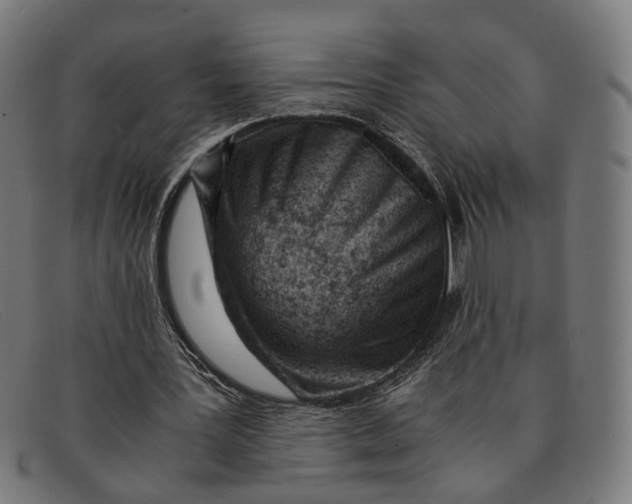 X0000091450387200709131719