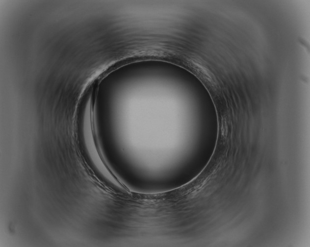 X0000091450388200709131719
